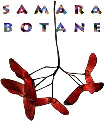 Samara Botane