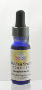 Golden Space Formula, Flower Essence, 3 Flowers Healing, .5oz