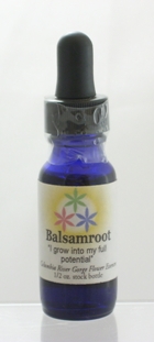 Balsamroot (Balsamorhiza sagitata), 3 Flowers Healing, .5oz