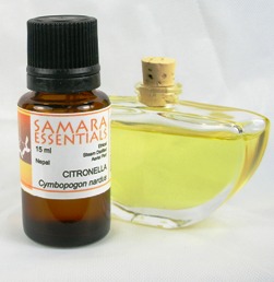 CITRONELLA