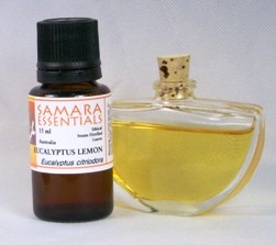 EUCALYPTUS LEMON