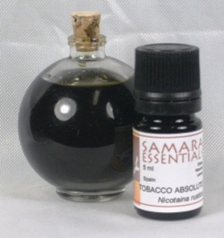 TOBACCO ABSOLUTE