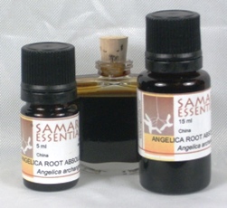ANGELICA ROOT ABSOLUTE