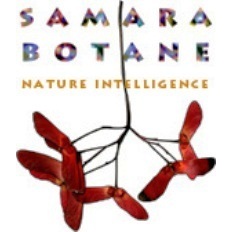 Samara Botane