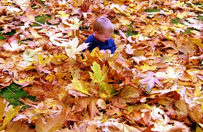 Autumn Leaves