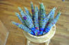 Sage bundles wild and hand-crafted by Michael Rose